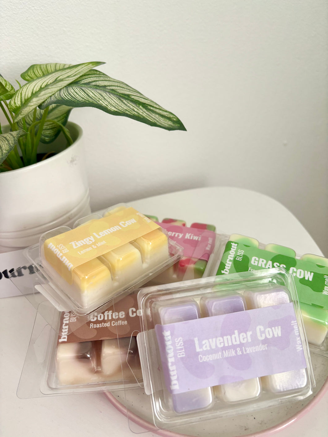 5 Waxmelt Bundle